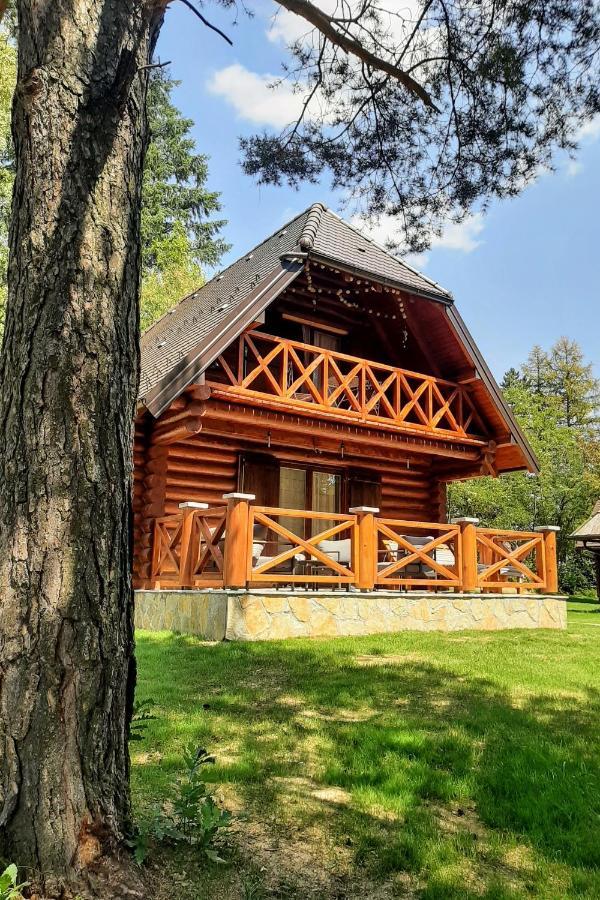 Вілла Zlatiborske Brvnare Екстер'єр фото