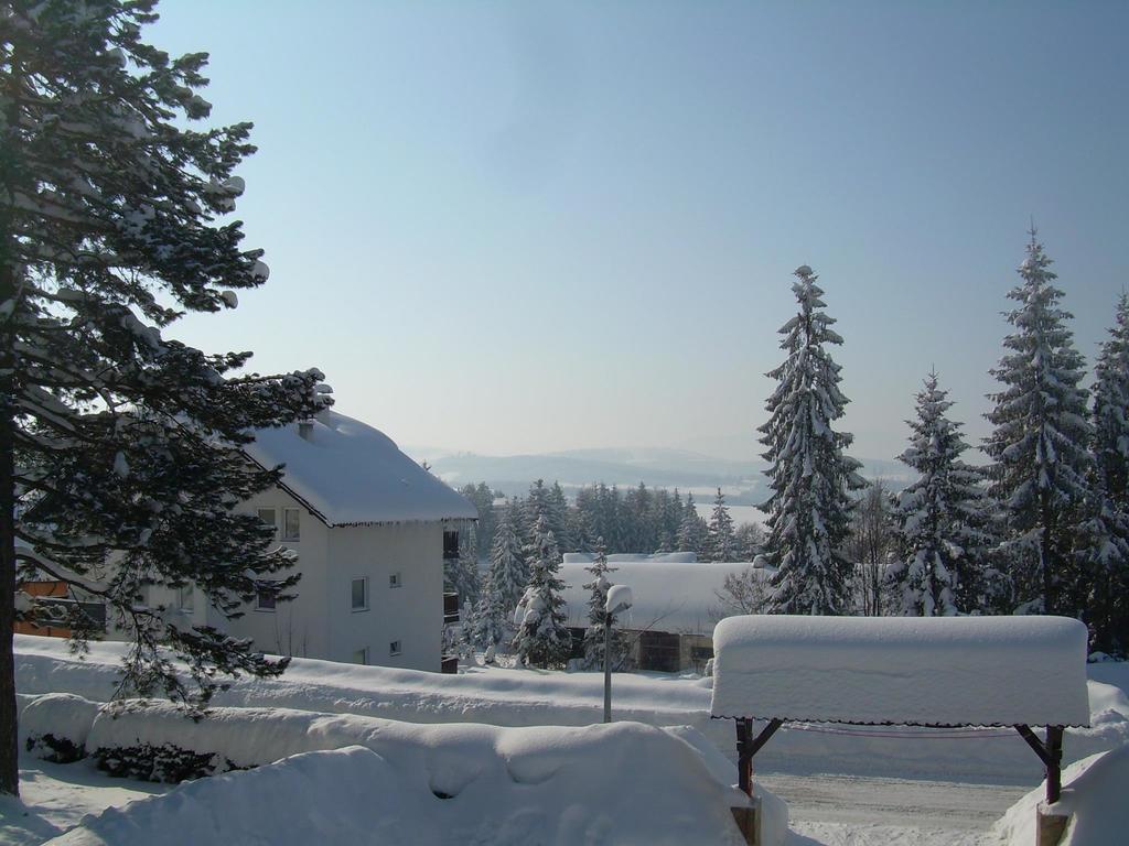 Вілла Zlatiborske Brvnare Номер фото